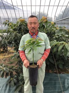 当農園について アボカド長崎農園lアボカド長崎農園 当農園について アボカド長崎農園lアボカド長崎農園